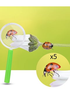 KASTWAVE 12 PCS Magnifying Glasses with Colorful Handle, Kids Portable Handheld Magnifier Magnifier Toy, Party Bags Fillers for Kids for Reading Exploring Hobbies and Observation Random Color  - Image 3