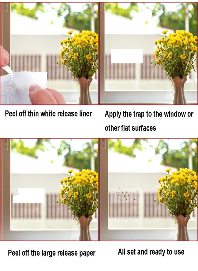 Mosqueda Window Fly Traps, 30 Pack Sticky Fly Traps for Indoors, Fly Catchers for Inside Home, Waterproof & Non-Toxic Adhesive Sticky Paper Trap for Mosquitos Bugs Housefy Fruit Fly Flying Gnats - Image 5