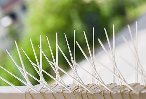 Elysian Bird Flee Polycarbonate Bird Spikes Bird Control Spikes, Pigeon Spikes, Ploycarbote Spikes 30 X 11 X 12 cm (1 Pc) - Image 2
