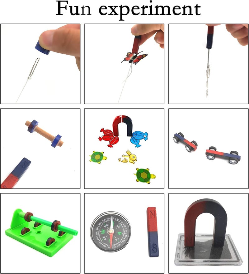 EUDAX Labs Junior Science NS Magnet Set for Education Science Experiment Tools Icluding BarRingHorseshoeCompass Magnets - Image 3