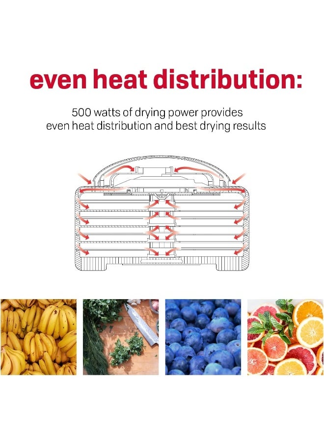 Nesco - NESCO FD-60, Snackmaster Express Food Dehydrator, White, 500 watts - Image 1
