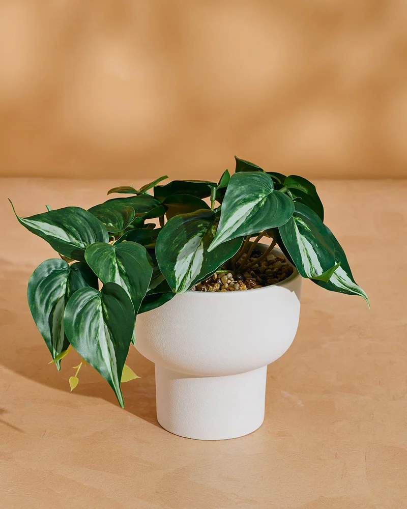 Redtag Green Artificial Trailing Succulent with Planter