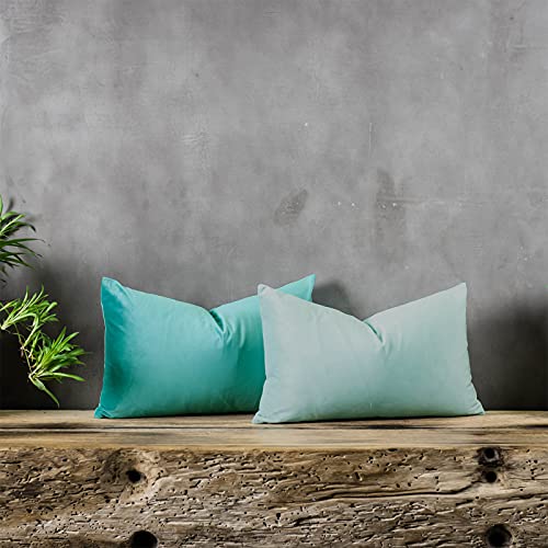 QUAFOO Mist Decorative Lumbar Velvet Throw Pillow Covers 16x24 inch Set of 2 with Zipper Luxury Soft Solid Rectangle Cushion Covers Case for Sofa Couch Bed Living Room - Image 3