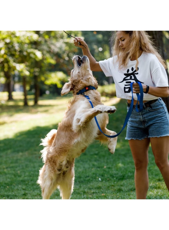 CollarDirect Reflective Dog Collar for a Small, Medium, Large Dog or Puppy with a Quick Release Buckle - Boy and Girl - Nylon Suitable for Swimming (14-18 Inch, Blue) - Image 2