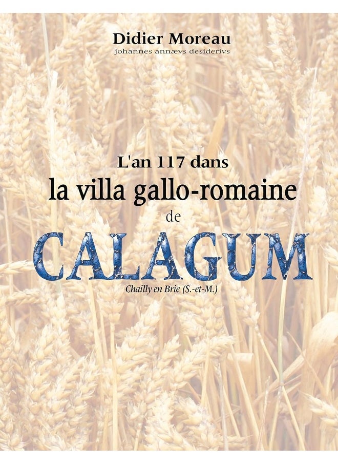 L'an 117 dans la villa gallo-romaine de Calagum 