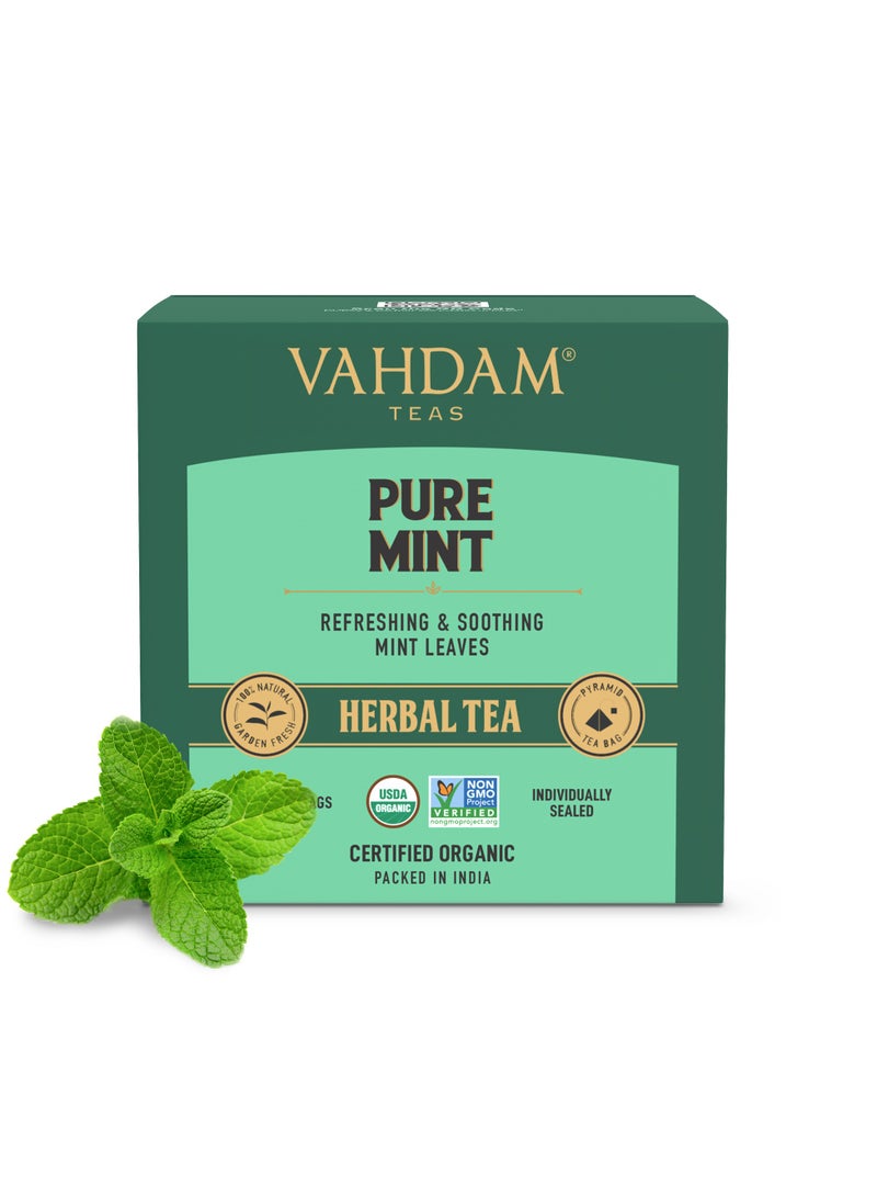 Vahdam Pure Mint Herbal Tea 15 Teabags (30g) - Image 2