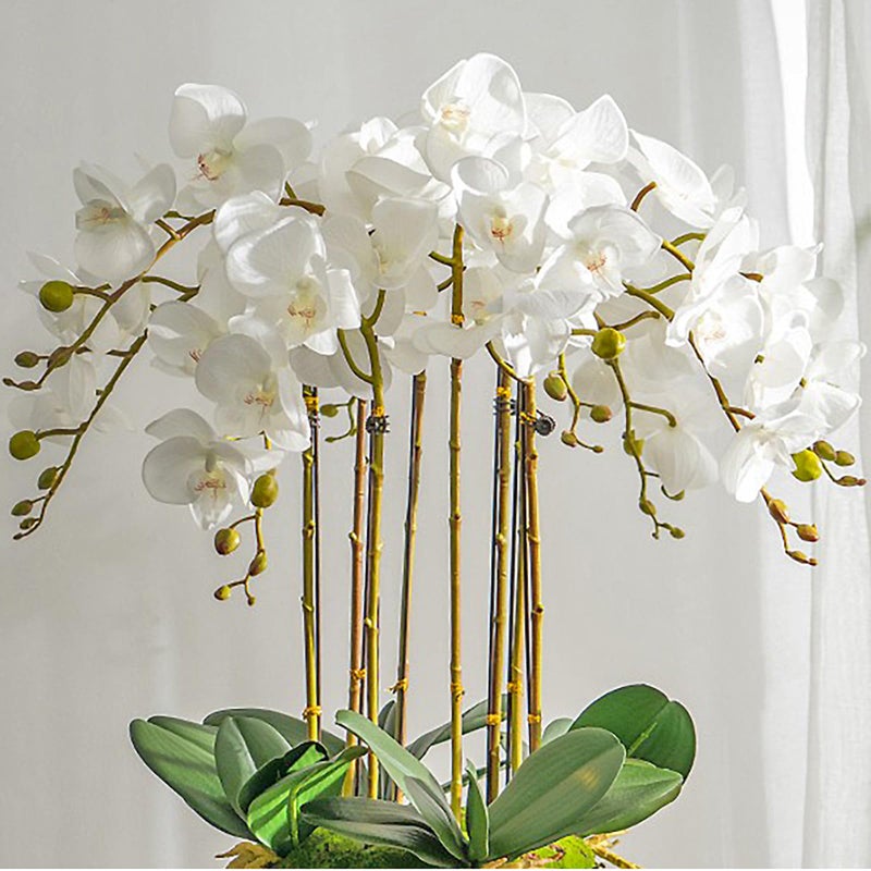 DUYONE Artificial Orchid Plant, 35 Inch 4 Pcs Phalaenopsis Flowers with Leaves, Real Touch Orchid Stems for Home Decoration - Image 1