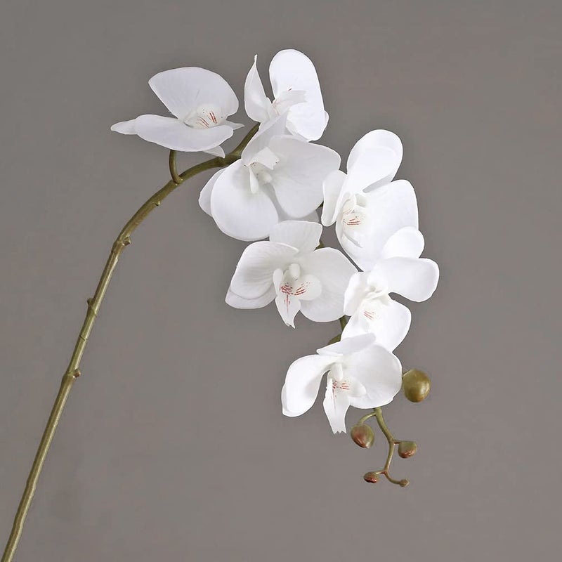 DUYONE Artificial Orchid Plant, 35 Inch 4 Pcs Phalaenopsis Flowers with Leaves, Real Touch Orchid Stems for Home Decoration - Image 3