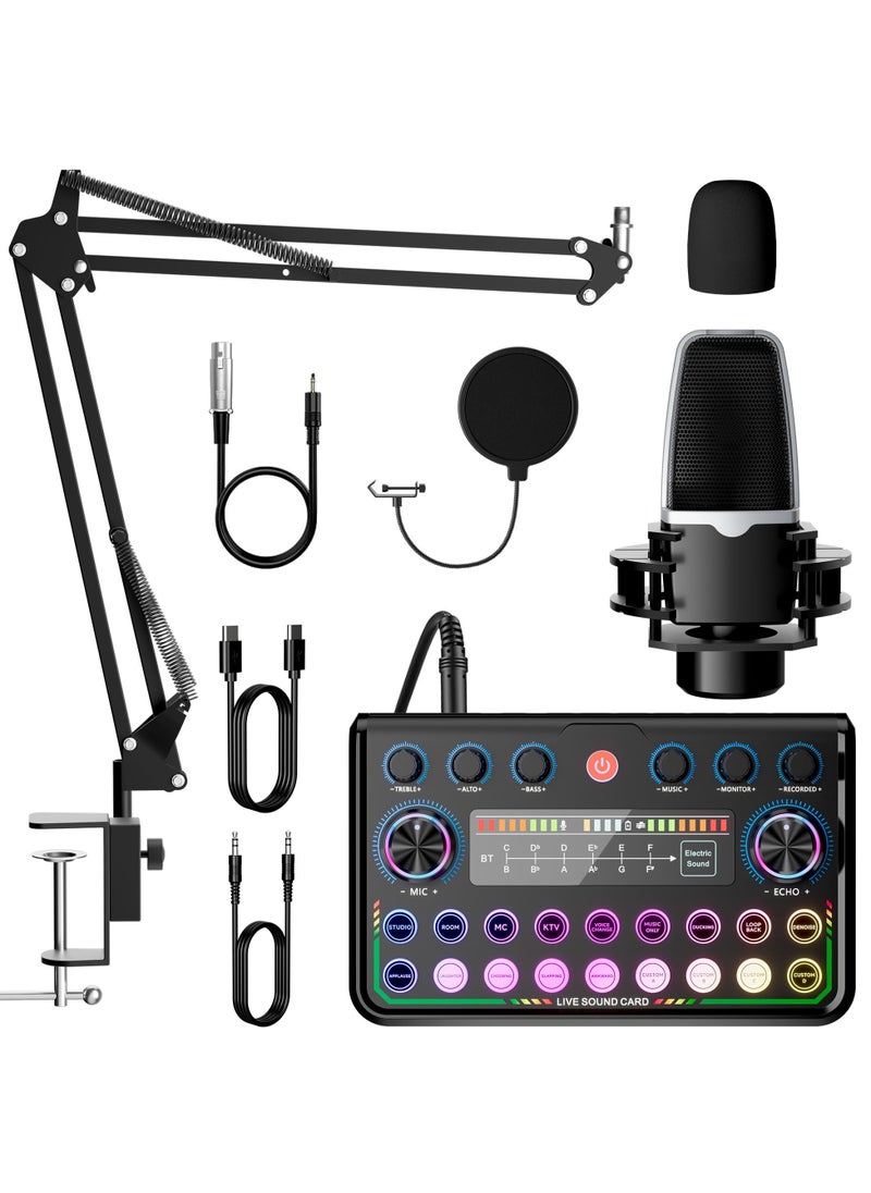 XiuWoo Podcast Equipment Bundle,Audio Interface with Studio Condenser Microphone for Smartphone and PC,Plug-and-Play Live Sound Card,Perfect for Streaming, Singing, YouTube, Gaming  - Image 1