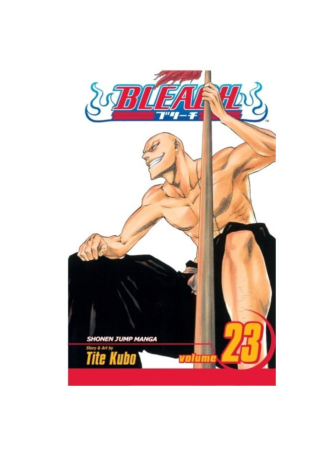 Bleach: V. 23