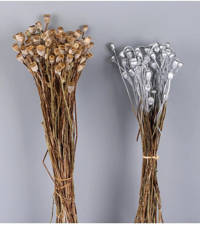 Bluejw Long-Lasting Real Dried Poppy Flower & Fruit – Natural Dried Corn Poppy for Home Decor, Wedding Arrangements, and Dried Plants Bouquets - Image 5