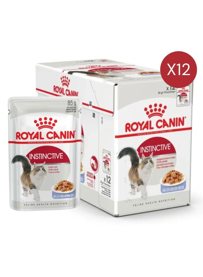 رويال كانين طعام رطب جيلي للقطط البالغة من سلالة إنستينكتيف لصحة القطط - 12 × 85 غرام - Image 1