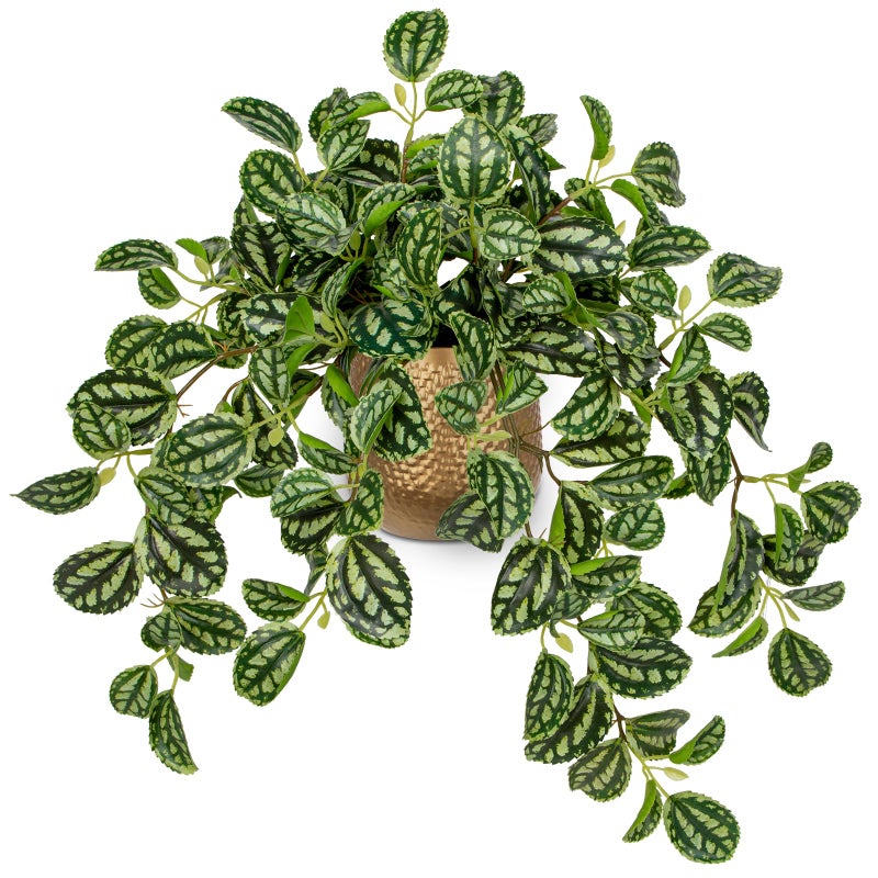 Briful Faux Plants Indoor 17.7in Fake Watermelon Peperomia Plant in Gold Pot with Realistic Silk Green Leaves Artificial Potted Plant for Home Office Table Shelf Desk Modern Room Decor - Image 1