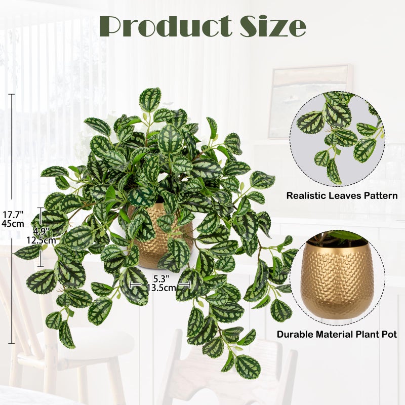 Briful Faux Plants Indoor 17.7in Fake Watermelon Peperomia Plant in Gold Pot with Realistic Silk Green Leaves Artificial Potted Plant for Home Office Table Shelf Desk Modern Room Decor - Image 2