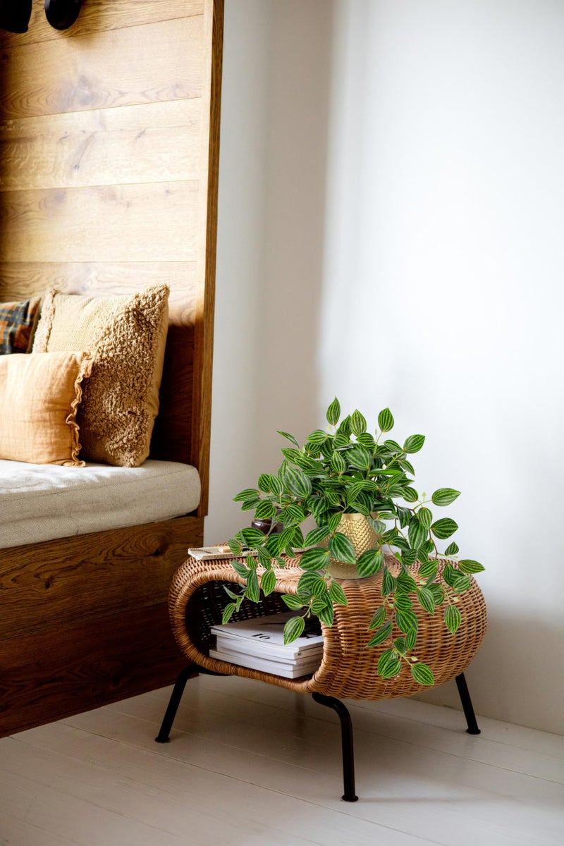 Briful Faux Plants Indoor 17.7in Fake Watermelon Peperomia Plant in Gold Pot with Realistic Silk Green Leaves Artificial Potted Plant for Home Office Table Shelf Desk Modern Room Decor - Image 4