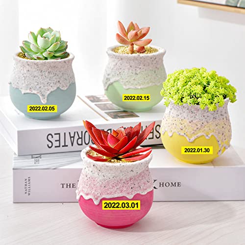 Absonic 24mm Yellow Tze Label Tape Compatible for Brother TZe-651 Tze651 0.94" Black on Yellow Tz Laminated Tape for Ptouch Label Maker PTD610BT PTD600 PTP750W PTP710BT E550WVP 2730VP 2430PC, 3 Pack - Image 5