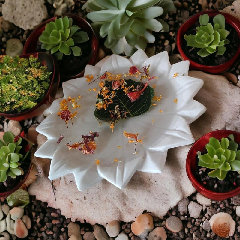 MBSC MBSC Marble Lotus Plate for Home Decor, Kitchen Serving, Dining Table Decoration and Gift (6 Inches)  - Image 3