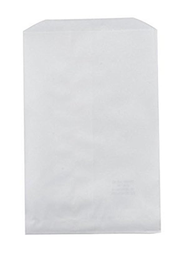 Ataqus 100 Pack White Kraft Paper Bags 6 x 9 Inches Gift Card Gift Candy Cookies Doughnut Crafts Party Favor Sandwich Jewelry Merchandise