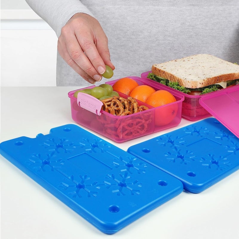 WORLD-BIO Reusable Ice Packs for Lunch Boxes, Coolers & Outdoor Activities, Freezer-Safe Cooling Gel Packs, Leakproof Cold Pads for Camping, Travel, School & Office (Blue Snowflake 4 Pack) - Image 4