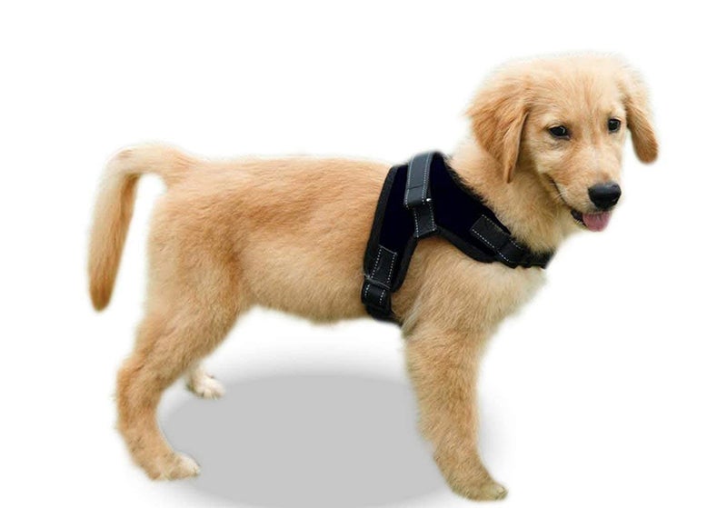 WapaW Cats Dog Harness No Pull With Handle, Reflective Adjustable Vest Harness For Puppy Dog & Cats [Small Dogs] (Medium) - Black - Image 4