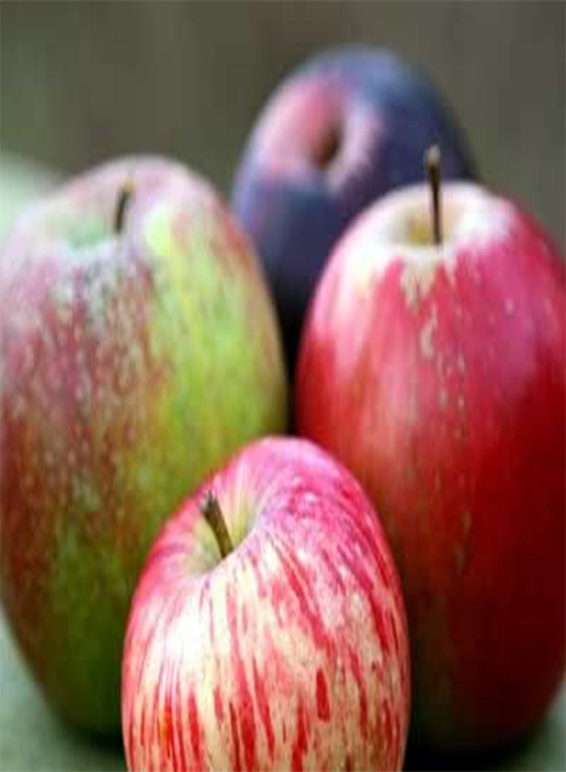 GGOOT New 30 Apple Fruit Seeds Mixed 