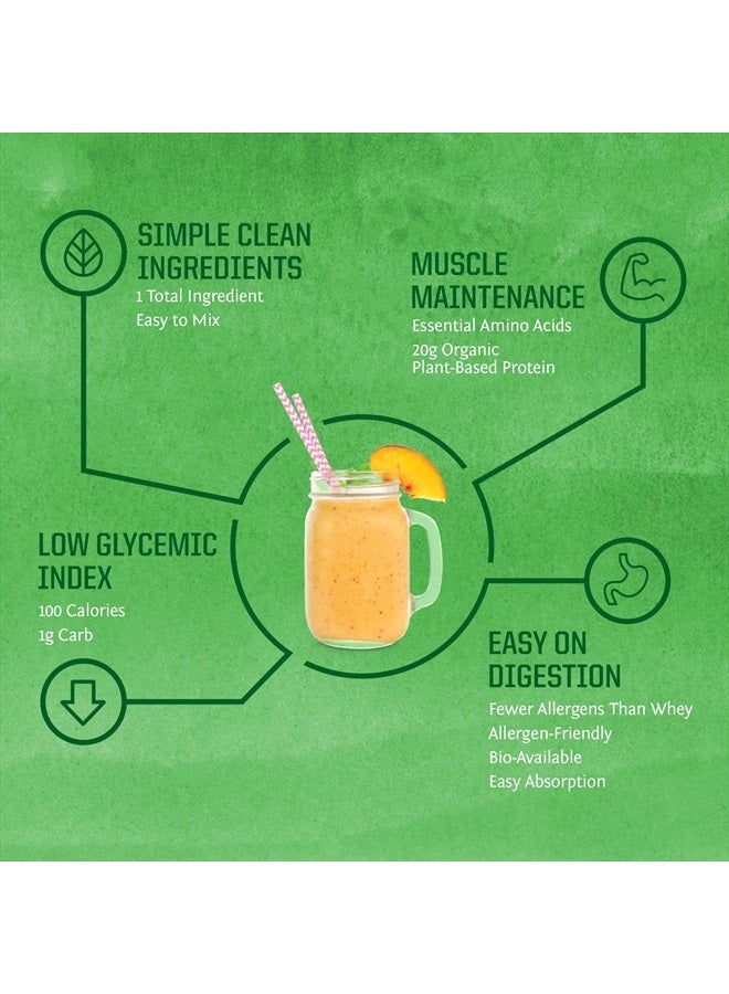 Sunwarrior Brown Rice Protein Powder with Bcaa & Amino Acids Raw Rice Protein Shake Gluten Free Low Carb Dairy Free | Plant Based Classic Sprouted Brown Rice Protein Powder Natural 750g by Sunwarrior - Image 4