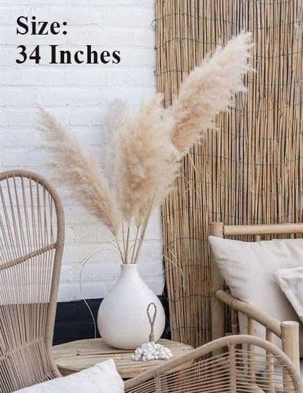 XTORE XTORE Dried 4 Pcs Pampas Grass for Home Decoration Pack of 4 Sticks OffWhite  - Image 4