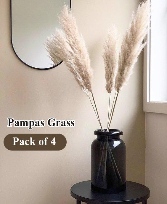 XTORE XTORE Dried 4 Pcs Pampas Grass for Home Decoration Pack of 4 Sticks OffWhite  - Image 2