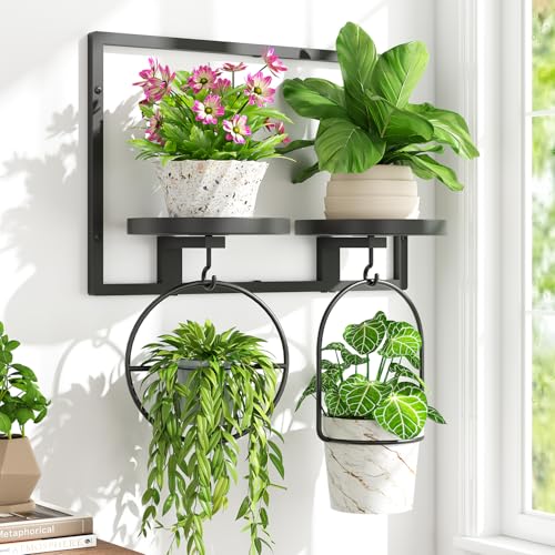 iDavosic.ly iDavosicly Wall Plant Picture Frame Holder with 2 Trays for Indoor Metal Stand with Hanging Hooks Floating Flower Display Decor Space Saving Easy to Assemble PotsChainsPlants Not Included - Image 1