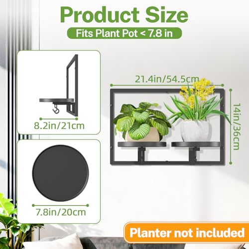 iDavosic.ly iDavosicly Wall Plant Picture Frame Holder with 2 Trays for Indoor Metal Stand with Hanging Hooks Floating Flower Display Decor Space Saving Easy to Assemble PotsChainsPlants Not Included - Image 3