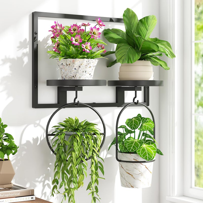 iDavosic.ly iDavosicly Wall Plant Picture Frame Holder with 2 Trays for Indoor Metal Stand with Hanging Hooks Floating Flower Display Decor Space Saving Easy to Assemble PotsChainsPlants Not Included - Image 2