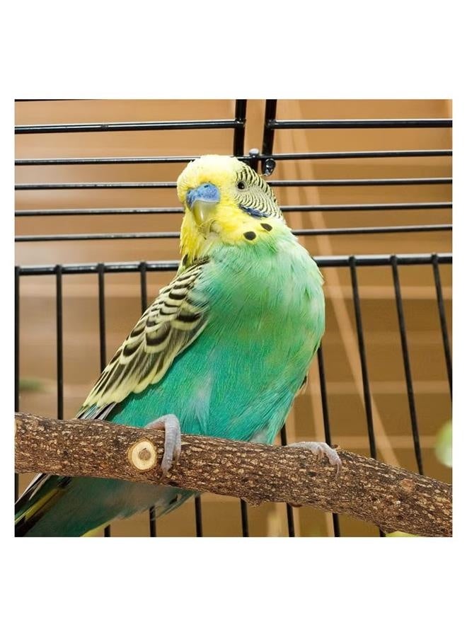 Parrot toys, bird toys, log branches, standing sticks, 4-piece set, stand, biting toys - Image 4