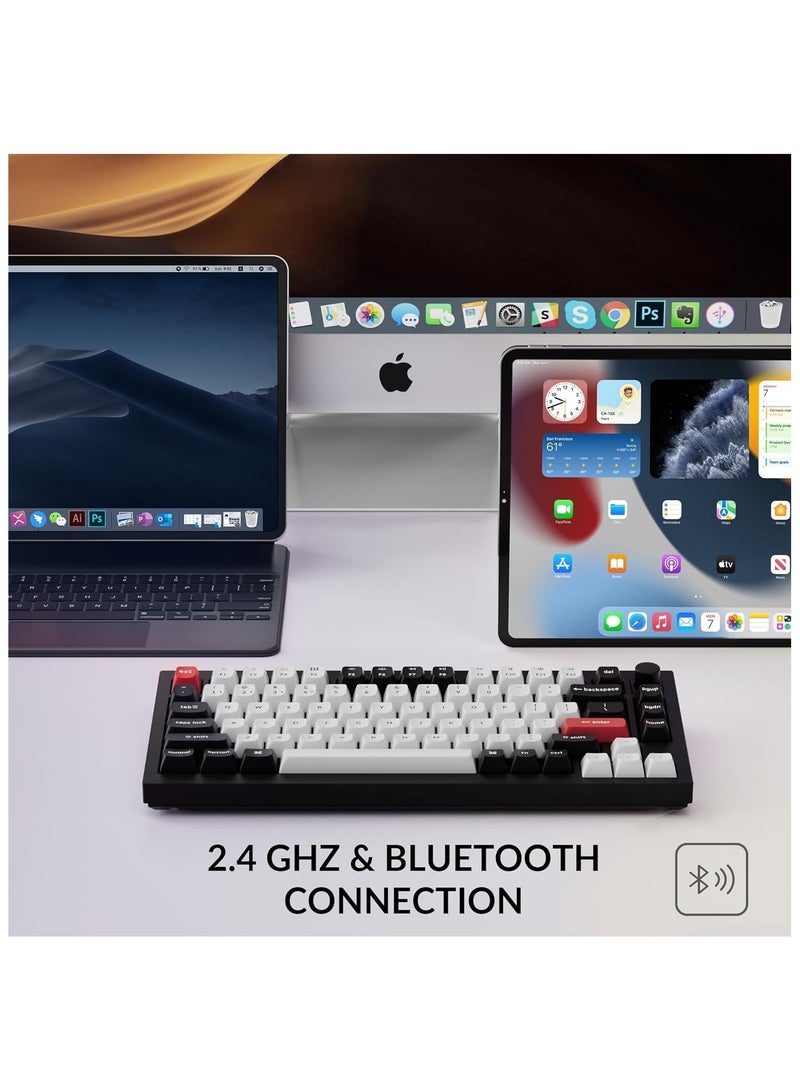Keychron Q1 HE 75% layout QMK Wireless Custom Keyboard Gateron double rail magnetic switches 2.4 GHz Bluetooth wireless USB-C wired Rapid Trigger Hot-swappable RGB Backlight Knob version Compatible with Mac & Windows - Image 2