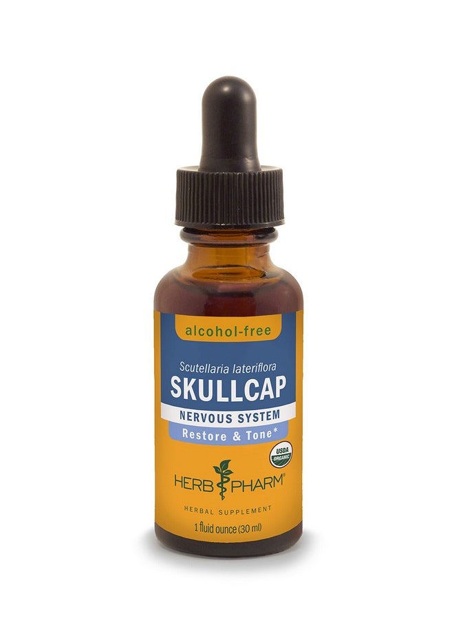 HERB PHARM Certified Organic Skullcap Liquid Extract For Nervous System Support 1 Fl Oz  - Image 2