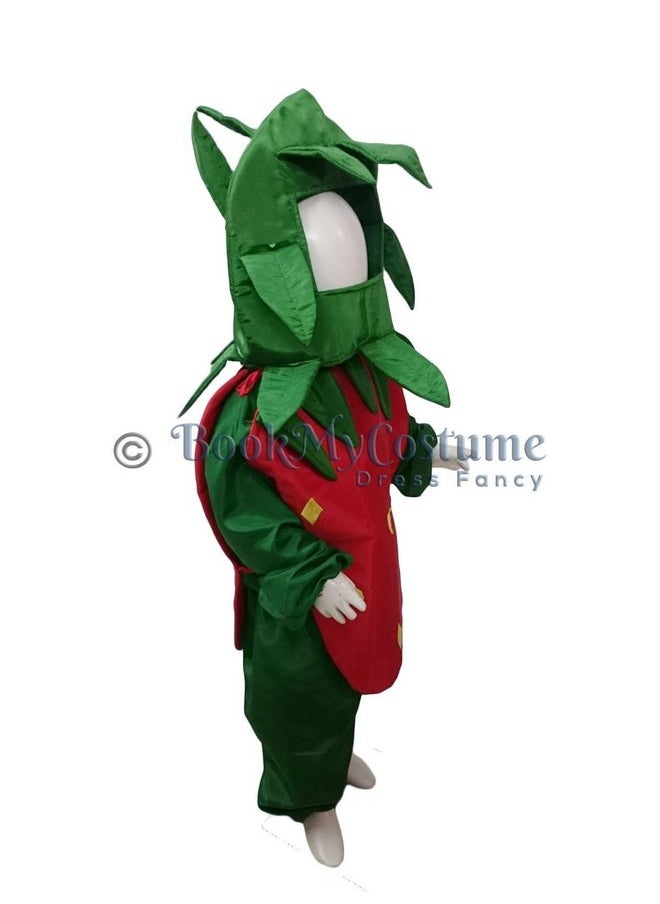 BookMyCostume - BookMyCostume Strawberry Fruit Kids Fancy Dress Costume 6-7 years - Image 1