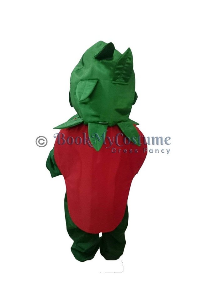 BookMyCostume - BookMyCostume Strawberry Fruit Kids Fancy Dress Costume 6-7 years - Image 1