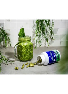Zen Principle Organic Moringa Oleifera. Ultra-Premium. Provides an All Natural Energy Boost and Multi-Vitamin. A Raw Superfood, Vegan, No GMO and Gluten Free. 360 Capsules.  - Image 4
