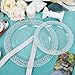 I00000 96pcs Silver Plastic Plates Clear With Silver Rim 48 Heavy Duty Dinner Plates 1025 Inch and 48 Dessert Plates 75 Inch Perfect for Party - Image 4