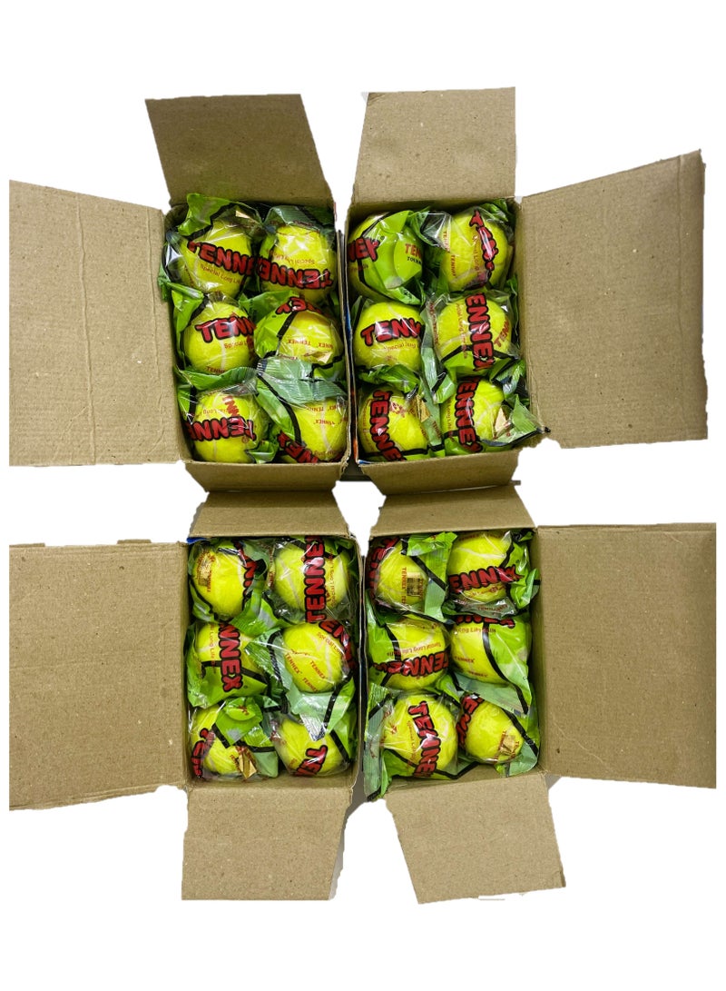 Tennex Heavy Duty Balls Pack of 4 Box - Each box with 6 balls. - Image 2