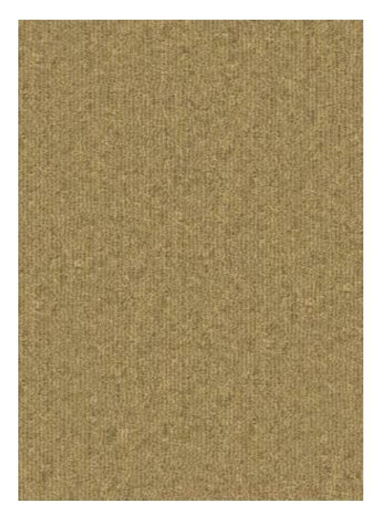 AL WADI FURNITURE AWF Al Wadi Furniture Loop Pile Carpet Rust - Image 2