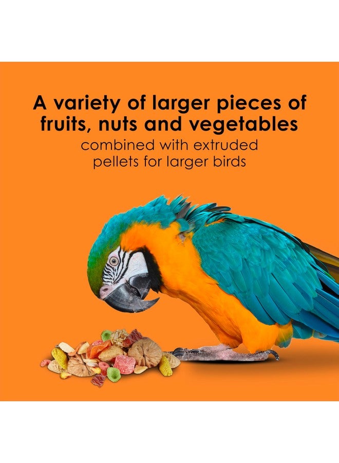 كايتي فييستا بيج بايتس - مكاو، 10 رطل - Image 4