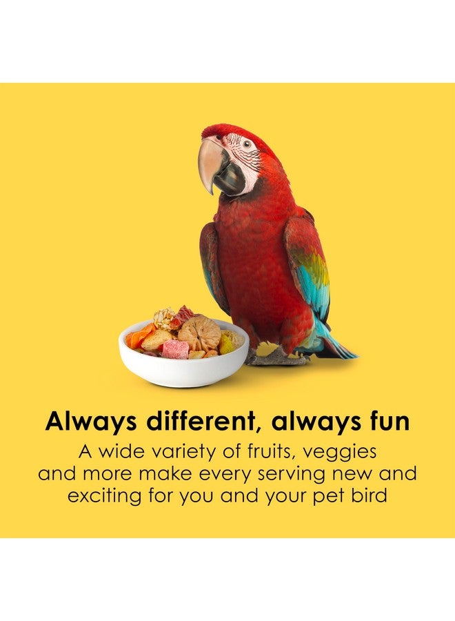 كايتي فييستا بيج بايتس - مكاو، 10 رطل - Image 3