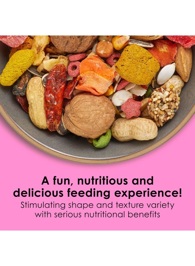 كايتي فييستا بيج بايتس - مكاو، 10 رطل - Image 2