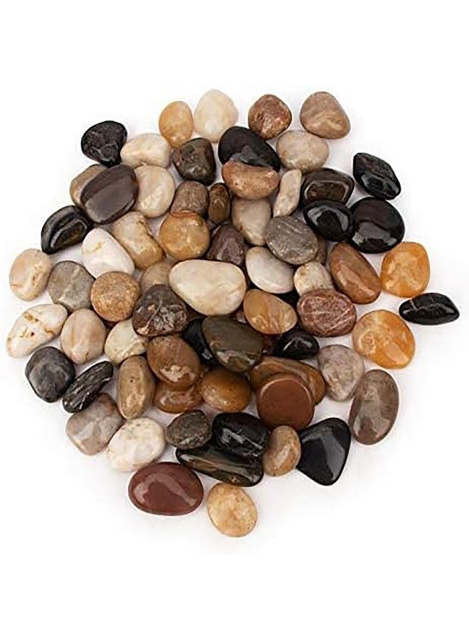 إيميلي بيتس أحجار نهر طبيعية مصقولة للغاية للنباتات وأحجار الزينة في الحدائق، مثالية لأحواض الأسماك والمزهريات والنباتات العصارية والحرف اليدوية والديكور المنزلي وتجميل الحدائق (1-2 سم - 4.9 كجم) - Image 2