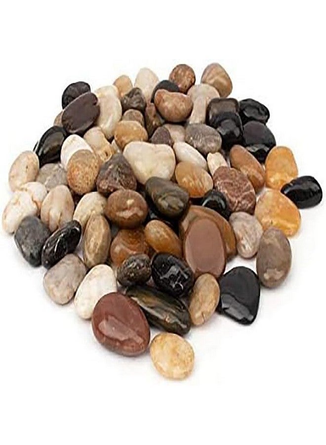 إيميلي بيتس أحجار نهر طبيعية مصقولة للغاية للنباتات وأحجار الزينة في الحدائق، مثالية لأحواض الأسماك والمزهريات والنباتات العصارية والحرف اليدوية والديكور المنزلي وتجميل الحدائق (1-2 سم - 4.9 كجم) - Image 3