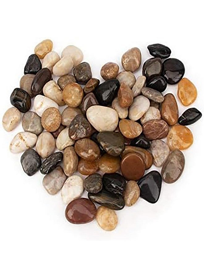 إيميلي بيتس أحجار نهر طبيعية مصقولة للغاية للنباتات وأحجار الزينة في الحدائق، مثالية لأحواض الأسماك والمزهريات والنباتات العصارية والحرف اليدوية والديكور المنزلي وتجميل الحدائق (1-2 سم - 4.9 كجم) - Image 4