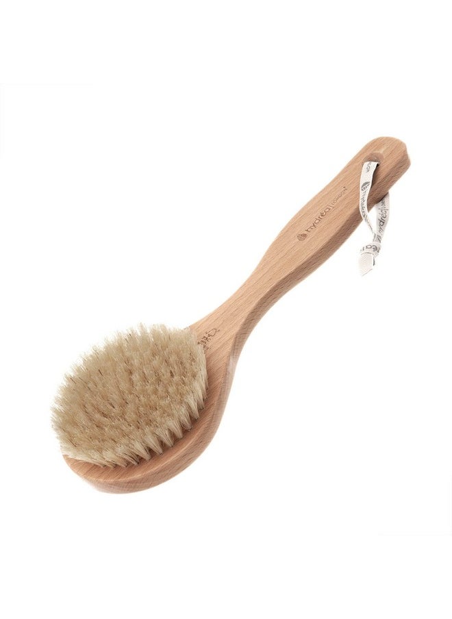 Dry Body Brush Short Handle Premium Exfoliating Dry Skin Brush With Natural Bristle Fsc® Certified Beechwood. - pzsku/Z04BCA5082A0FCC7CCA8AZ/45/_/1696661276/4d06e1aa-d9a5-4666-86e7-f5ca3b37a29c