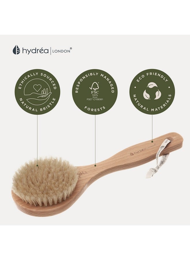 Hydrea London Dry Body Brush Short Handle Premium Exfoliating Dry Skin Brush With Natural Bristle Fsc® Certified Beechwood.  - Image 4