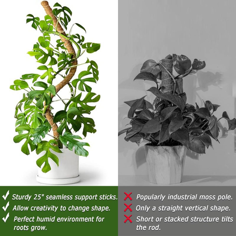 Soupiar 2 Pack 25" Moss Pole, Bendable Moss Pole for Plants Monstera, Moss Poles for Climbing Plants Indoor, Handmade Coco Coir Plant Pole Sticks Support Stakes for Potted Plants - Image 5