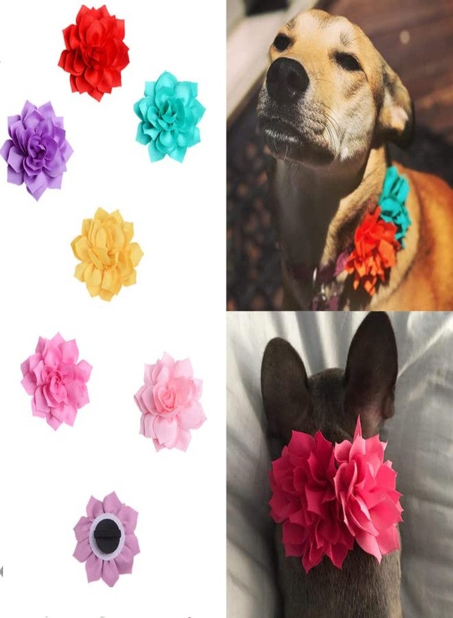 HLLMX 6 Pcs Dog Collar Flowers Multicolored Pet Flower Bow Tie Dog Charms for Puppy Collar Grooming Accessories - Image 3